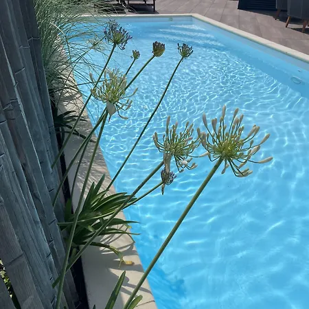 Bed & Breakfast Pierartlou